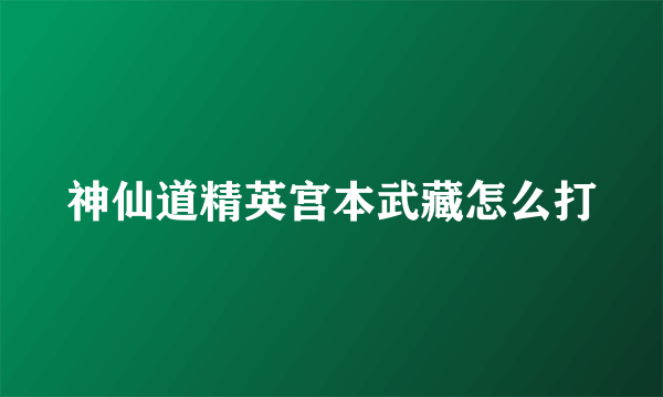 神仙道精英宫本武藏怎么打