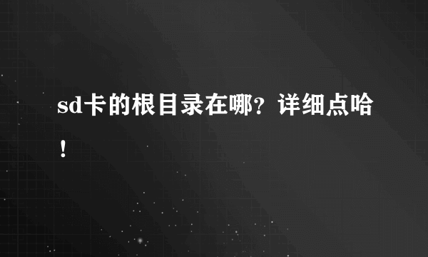 sd卡的根目录在哪？详细点哈！