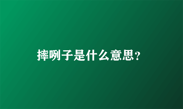 摔咧子是什么意思？