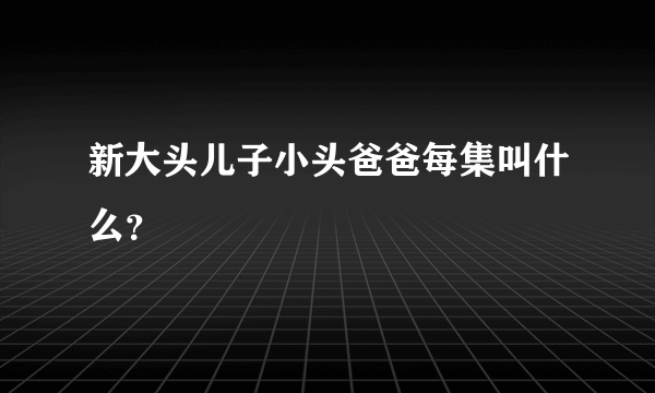 新大头儿子小头爸爸每集叫什么？