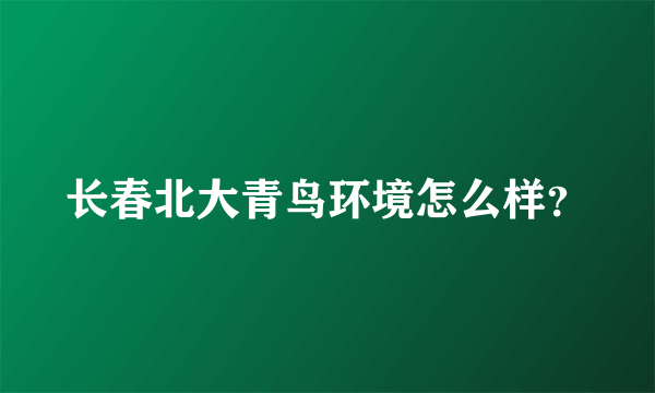 长春北大青鸟环境怎么样？