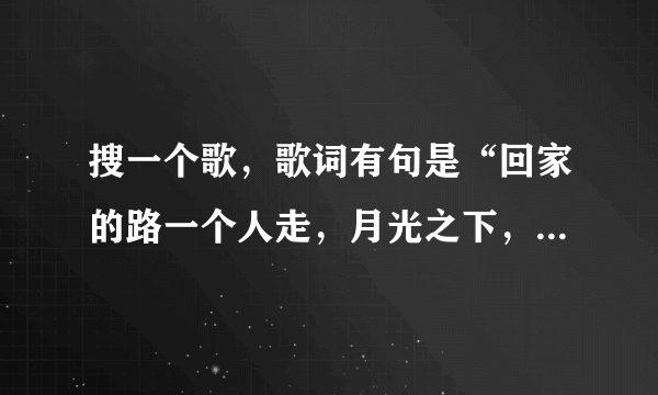 搜一个歌，歌词有句是“回家的路一个人走，月光之下，你曾说过爱我”？