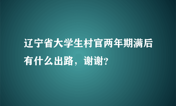 辽宁省大学生村官两年期满后有什么出路，谢谢？