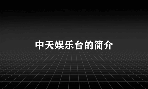 中天娱乐台的简介