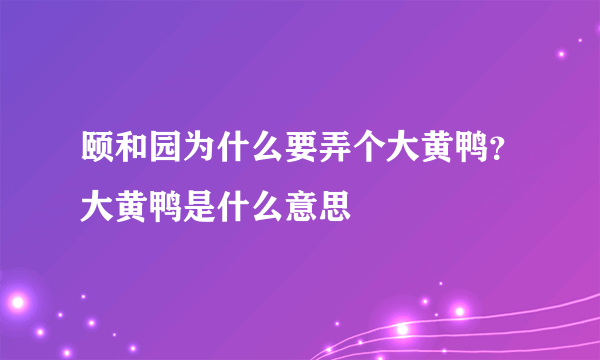 颐和园为什么要弄个大黄鸭？大黄鸭是什么意思