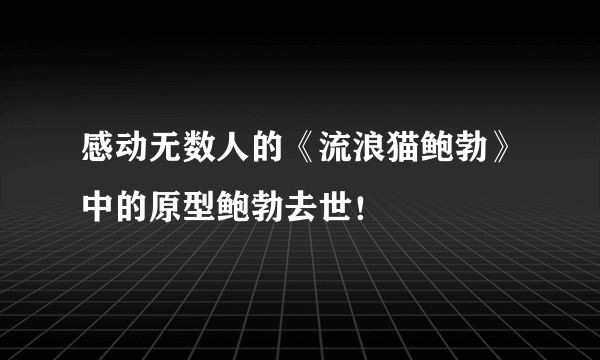 感动无数人的《流浪猫鲍勃》中的原型鲍勃去世！