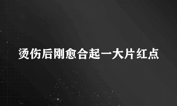 烫伤后刚愈合起一大片红点