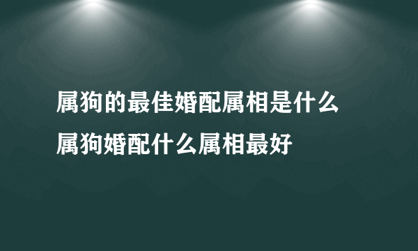 属狗的最佳婚配属相是什么 属狗婚配什么属相最好