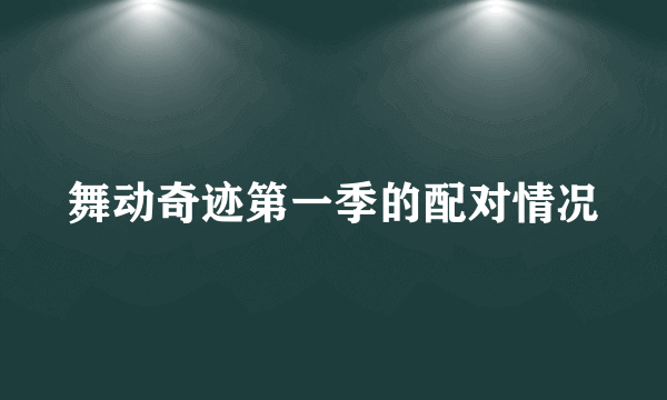 舞动奇迹第一季的配对情况