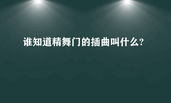 谁知道精舞门的插曲叫什么?