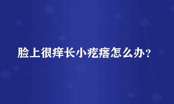 脸上很痒长小疙瘩怎么办？