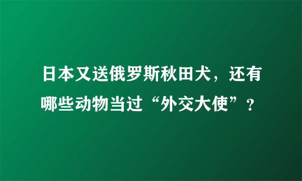 日本又送俄罗斯秋田犬，还有哪些动物当过“外交大使”？