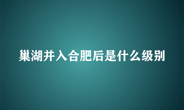 巢湖并入合肥后是什么级别