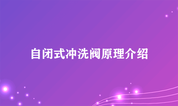 自闭式冲洗阀原理介绍