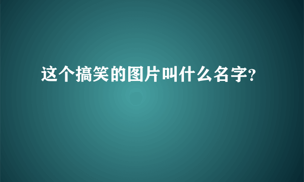 这个搞笑的图片叫什么名字？