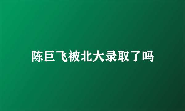 陈巨飞被北大录取了吗