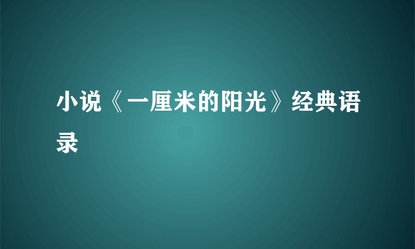 小说《一厘米的阳光》经典语录