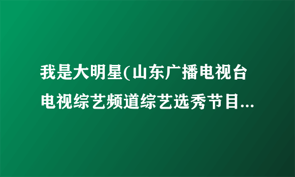 我是大明星(山东广播电视台电视综艺频道综艺选秀节目)详细资料大全