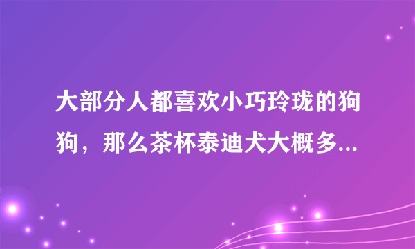 大部分人都喜欢小巧玲珑的狗狗，那么茶杯泰迪犬大概多少钱呢？