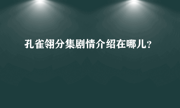 孔雀翎分集剧情介绍在哪儿？