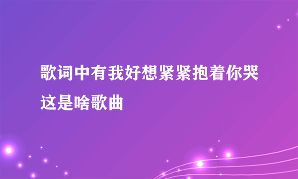 歌词中有我好想紧紧抱着你哭这是啥歌曲