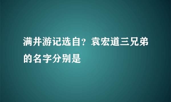 满井游记选自？袁宏道三兄弟的名字分别是