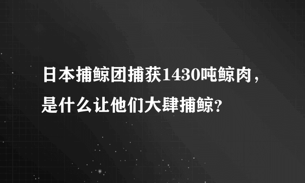 日本捕鲸团捕获1430吨鲸肉，是什么让他们大肆捕鲸？