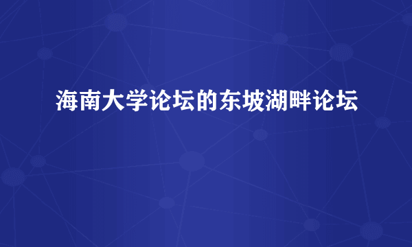 海南大学论坛的东坡湖畔论坛