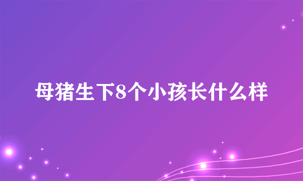 母猪生下8个小孩长什么样