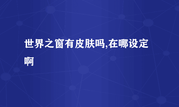 世界之窗有皮肤吗,在哪设定啊