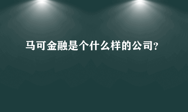 马可金融是个什么样的公司？