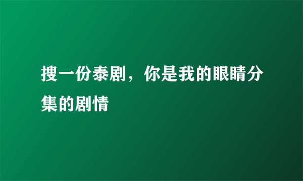 搜一份泰剧，你是我的眼睛分集的剧情