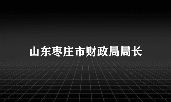 山东枣庄市财政局局长