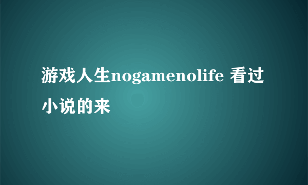 游戏人生nogamenolife 看过小说的来