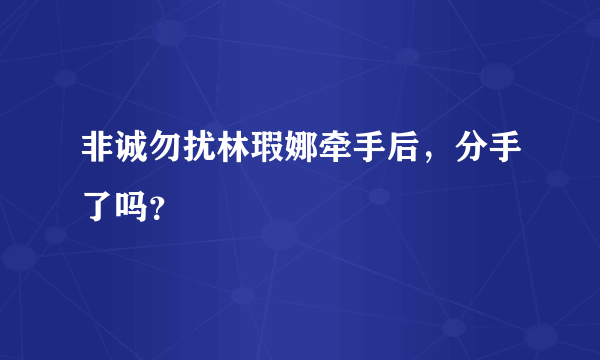 非诚勿扰林瑕娜牵手后，分手了吗？