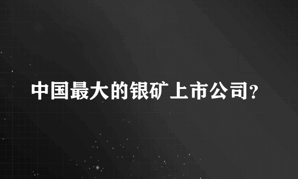 中国最大的银矿上市公司？