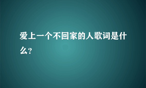 爱上一个不回家的人歌词是什么？