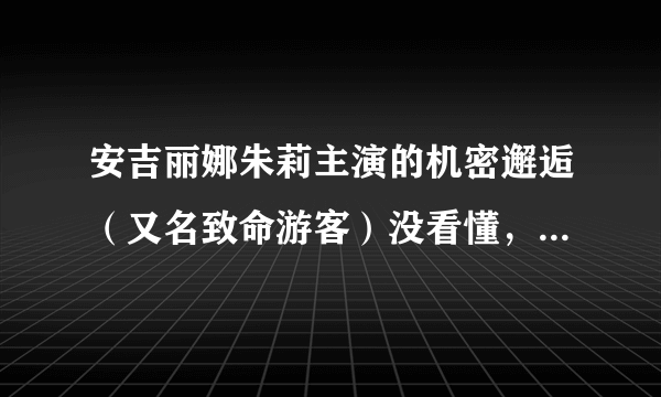 安吉丽娜朱莉主演的机密邂逅（又名致命游客）没看懂，哪里有很详细的剧情介绍？