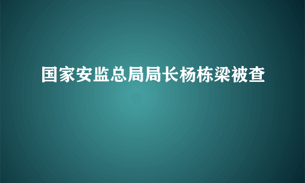 国家安监总局局长杨栋梁被查