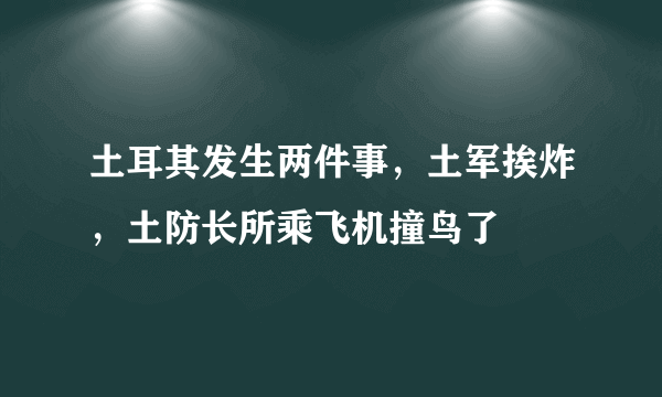 土耳其发生两件事，土军挨炸，土防长所乘飞机撞鸟了