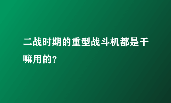 二战时期的重型战斗机都是干嘛用的？