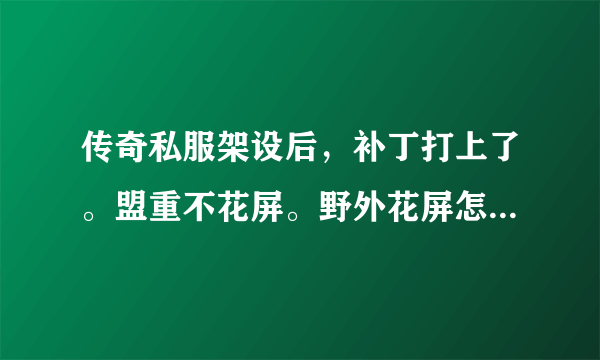 传奇私服架设后，补丁打上了。盟重不花屏。野外花屏怎么回事。。