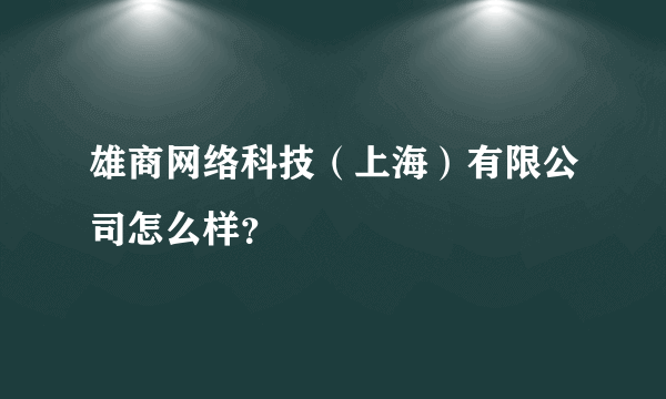 雄商网络科技（上海）有限公司怎么样？