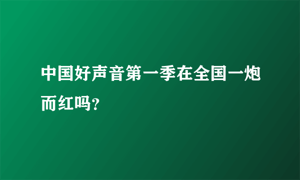 中国好声音第一季在全国一炮而红吗？