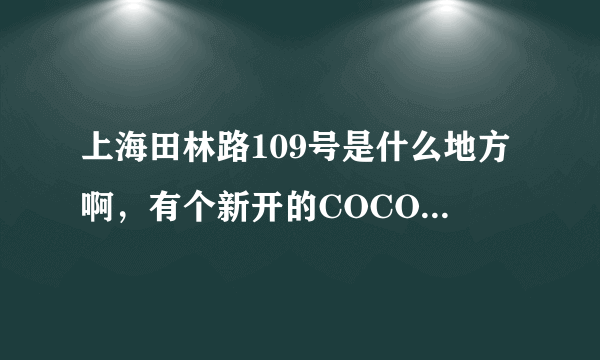 上海田林路109号是什么地方啊，有个新开的COCO酒吧吗？