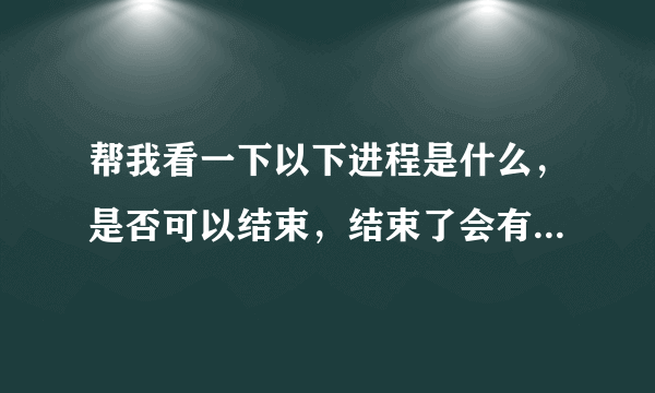 帮我看一下以下进程是什么，是否可以结束，结束了会有什么后果！