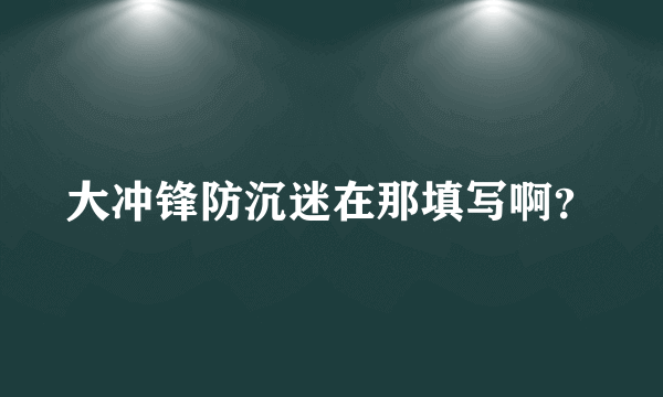 大冲锋防沉迷在那填写啊？