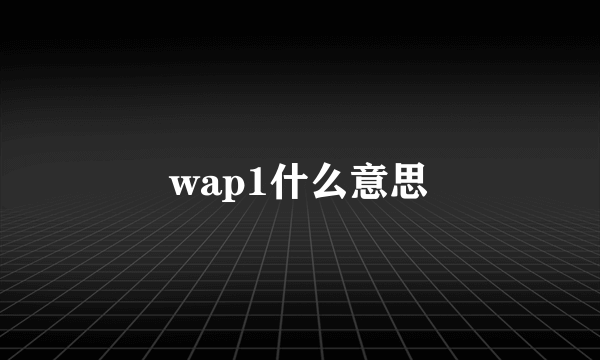 wap1什么意思