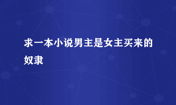 求一本小说男主是女主买来的奴隶