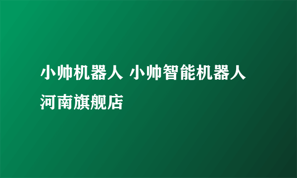 小帅机器人 小帅智能机器人河南旗舰店